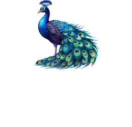 Bar Restaurante Los Patos – Ibi
